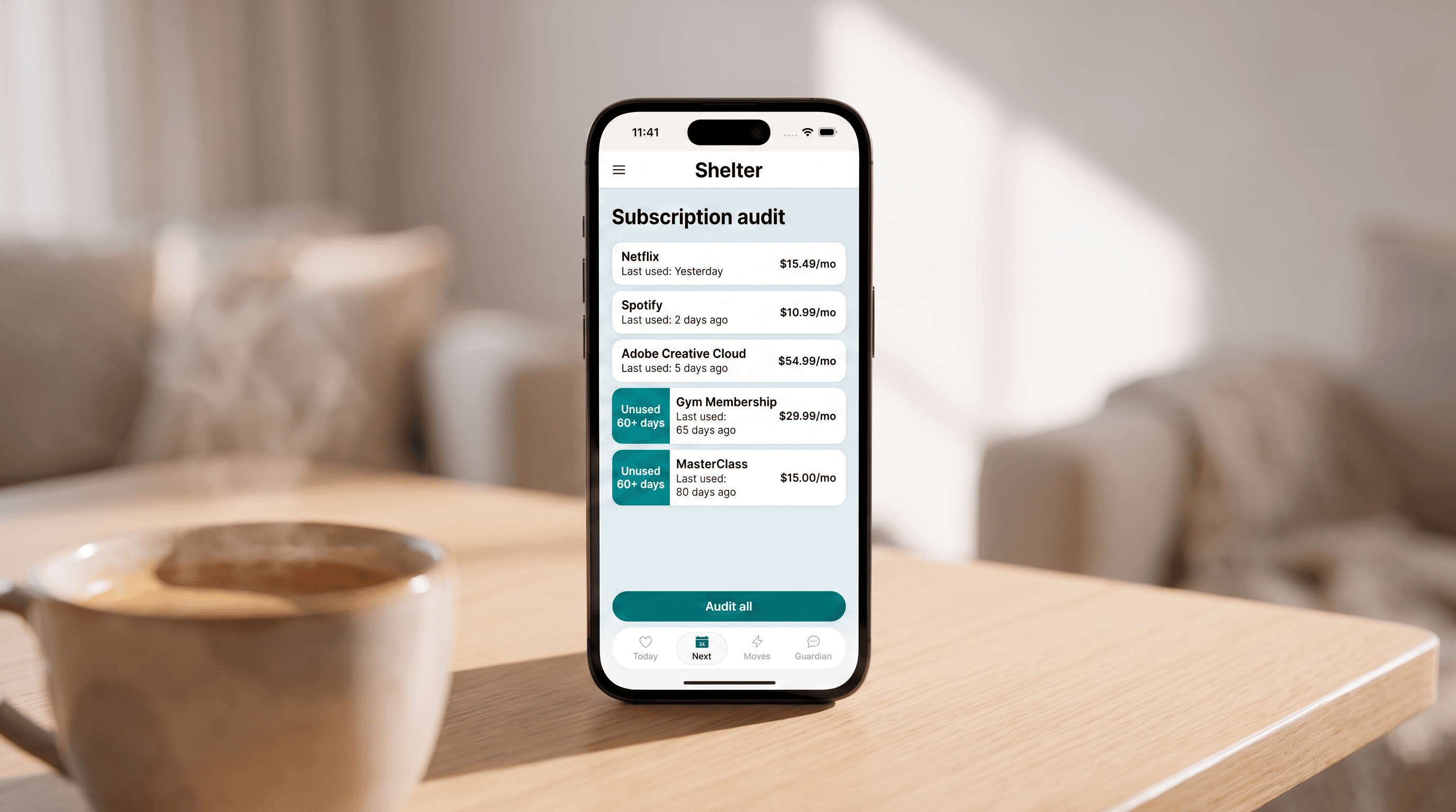 How to Do a Subscription Audit in 15 Minutes