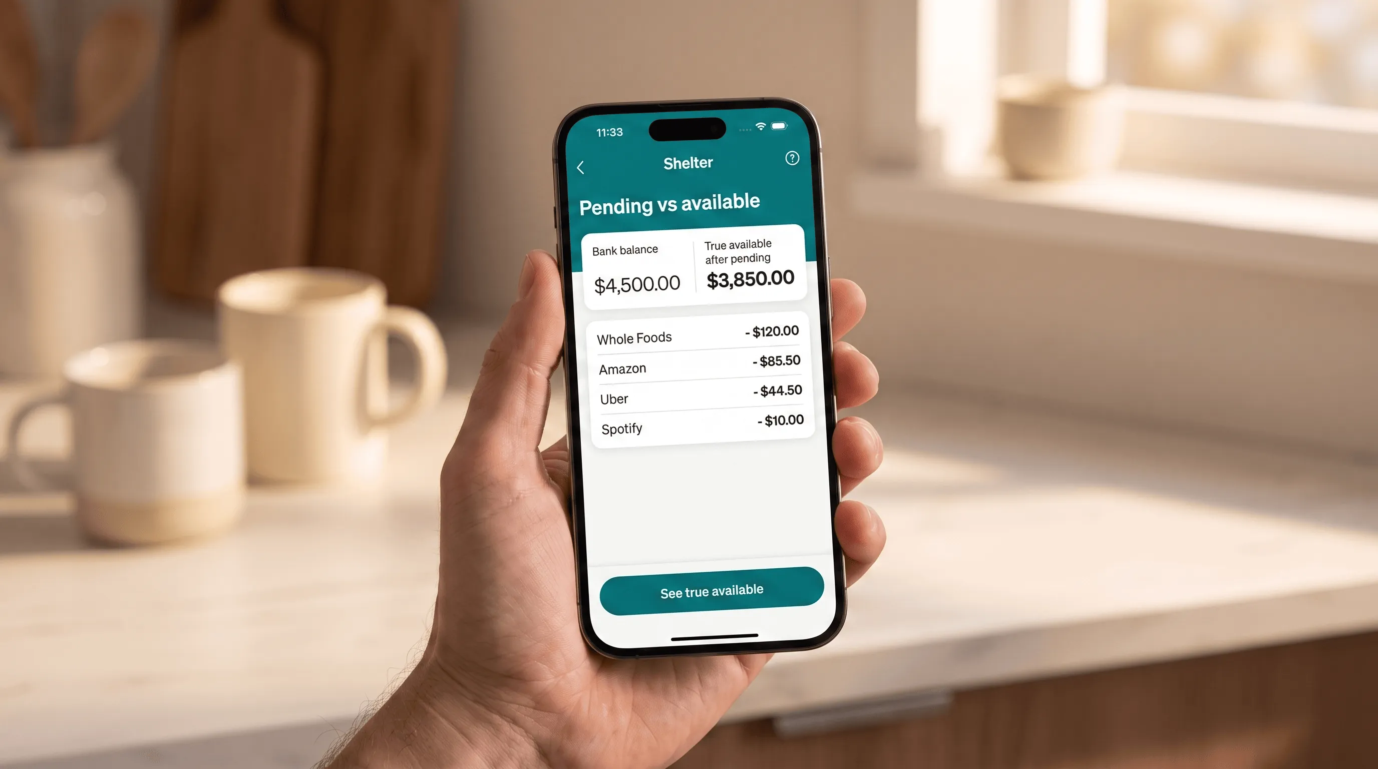 Shelter pending vs available balance with pending charges listed